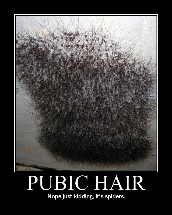 Female Pubic Hairstyles Hairstyle Female Pubic Hairstyles Hairstyle