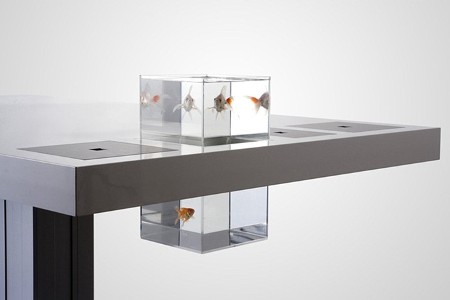 Picture of Manage your freshwater aquarium, tropical fishes and plants: 10 Unique ...