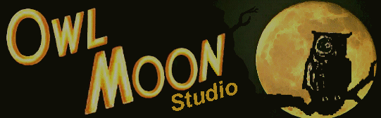 Owl Moon Studio