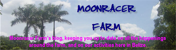 Moonracerfarm Belize