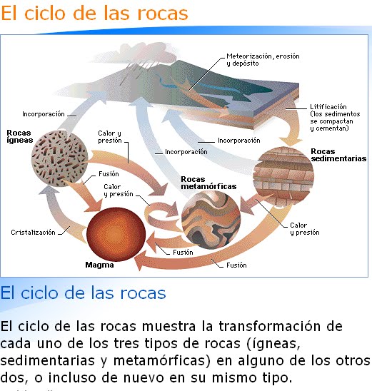 Que la ciencia te Ciclo de