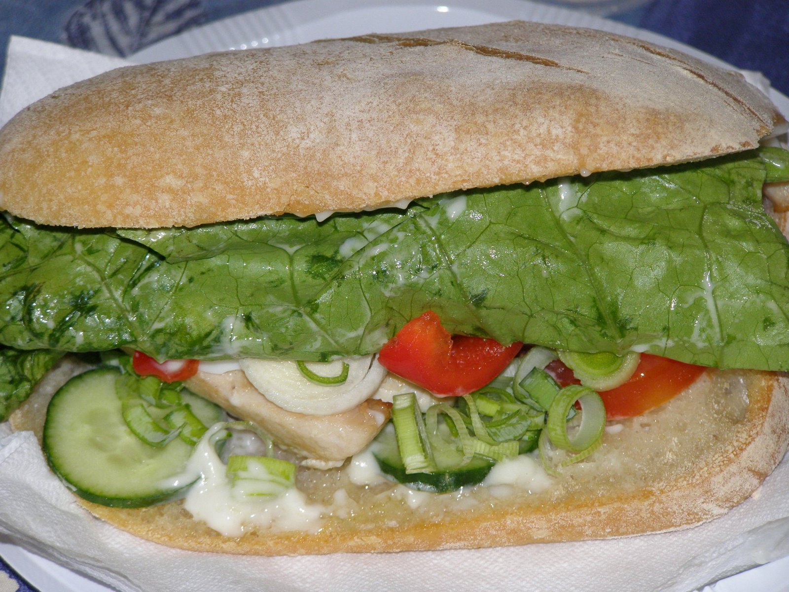 [ciabatta+sandwich.JPG]