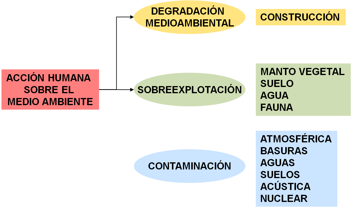 WE ARE THE WORLD: Globalización y Medio Ambiente. Juan Carlos Rodríguez M.