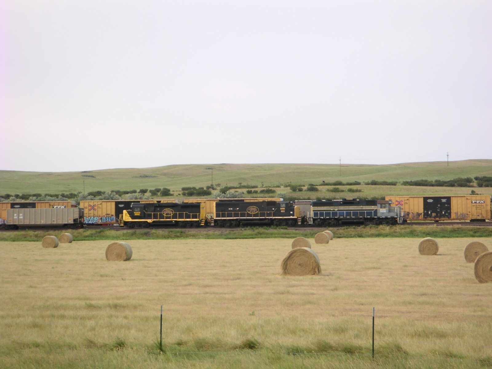 Tandem Tripping across America: Strictly Trains