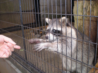 夢見ヶ崎動物公園