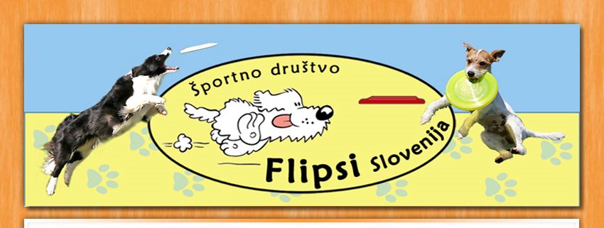 Flipsi - Dog frisbee