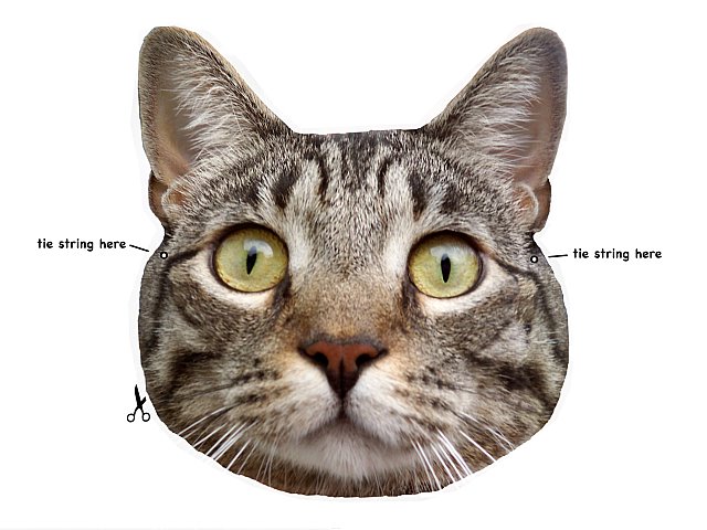 [cat+mask.jpg]