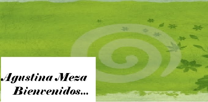 aguscarpetavirtual