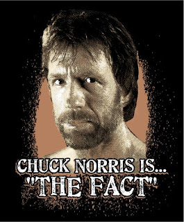 CHUCK NORRIS FACTS!!!!!