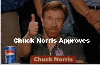Chuck Norris aprova esse blog