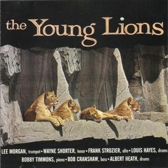 [young+lions.jpg]