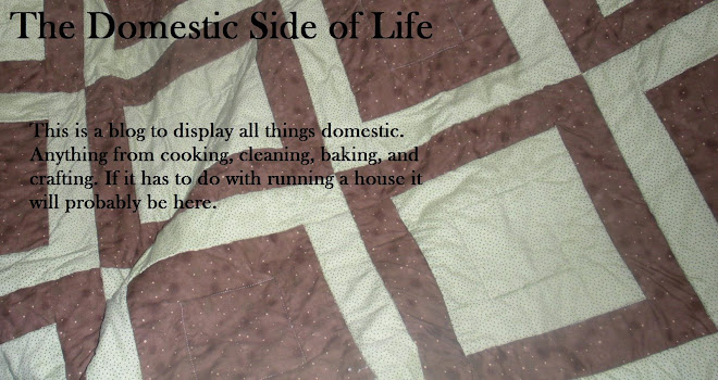 The Domestic Side of Life