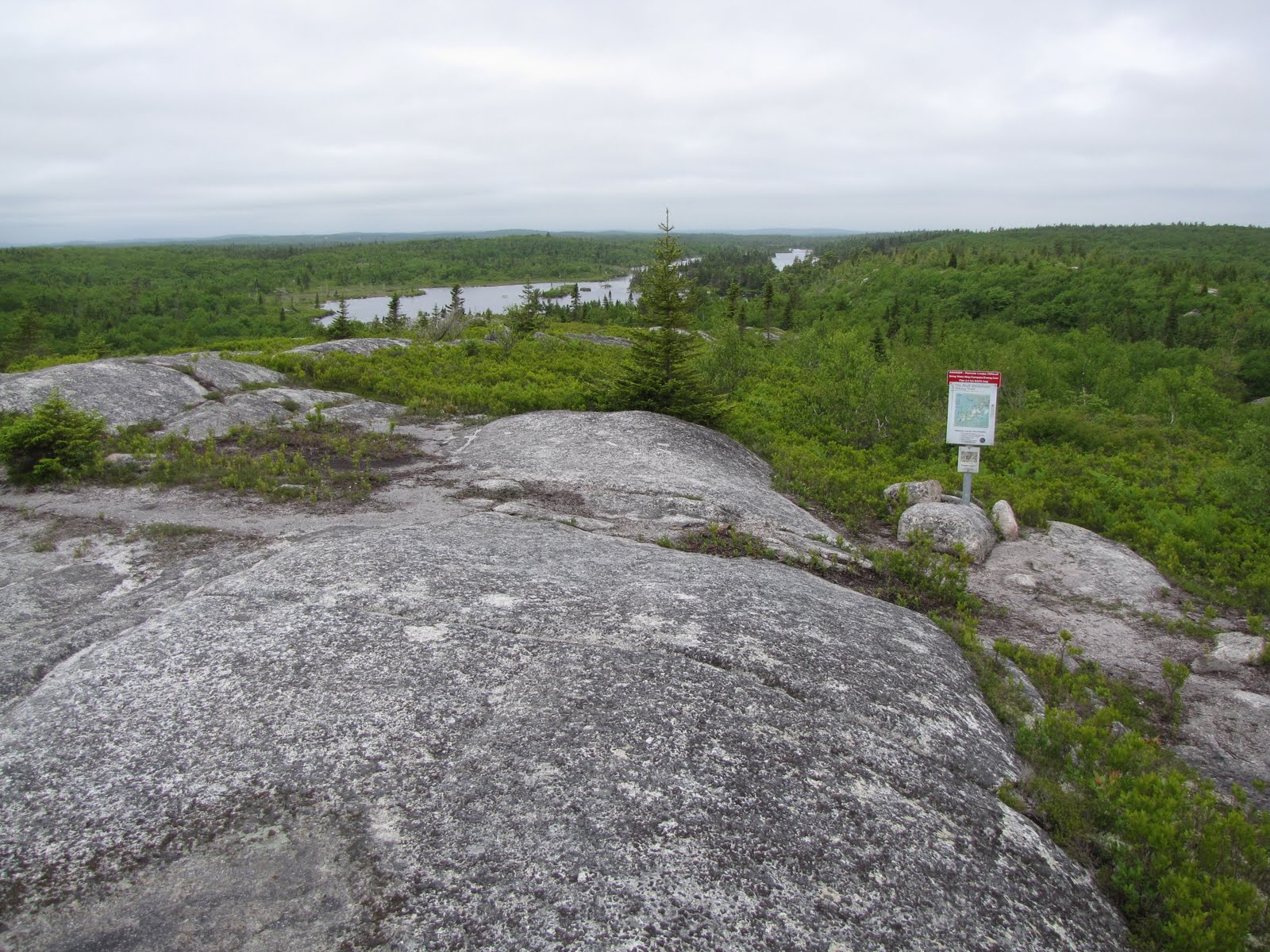 Hiking Trails of Nova Scotia The Bluff Trail Hiker's Dream
