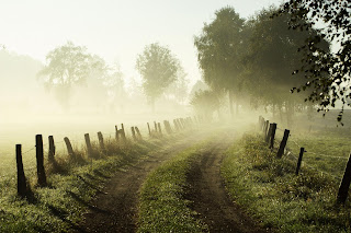 Misty Morning, Lower Saxony, Germany