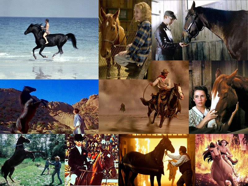 [filmes+cavalos.jpg]