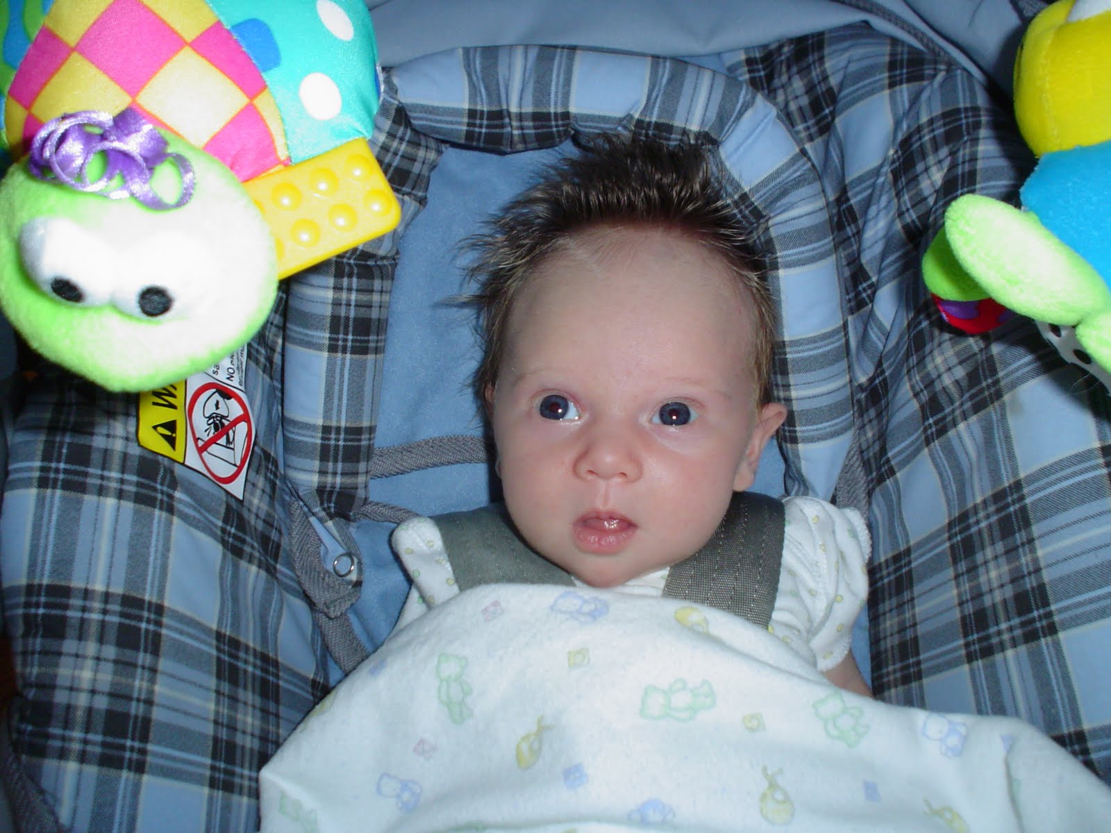 Life in a whirlwind In the Blink of an Eye