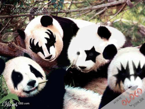 panda_roqueiros.gif