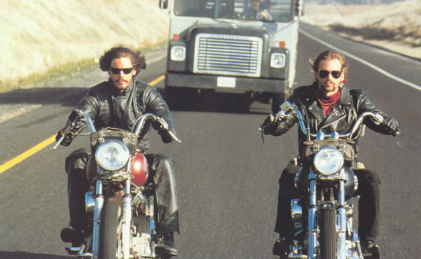 Mr Peel S Sardine Liqueur Attached To Things