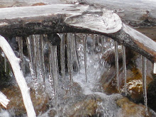 icicles hanging down