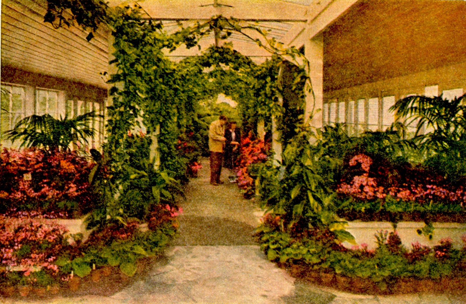 The Museum of the San Fernando Valley GERMAIN'S NURSERY ONCE A SAN