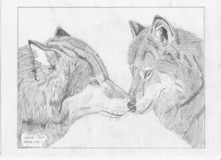 Barátkozó farkasok ~ Vereckei Tibor rajzai