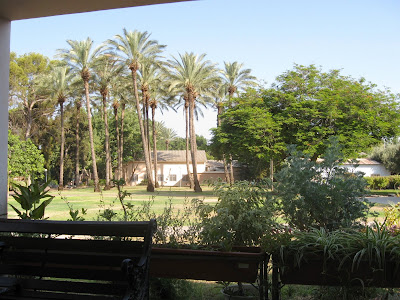 View of lawns and palm trees