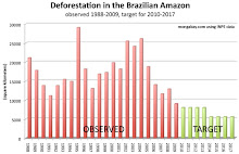 Deforestación Observada y Proyectada de la Selva Amazónica Brasileña
