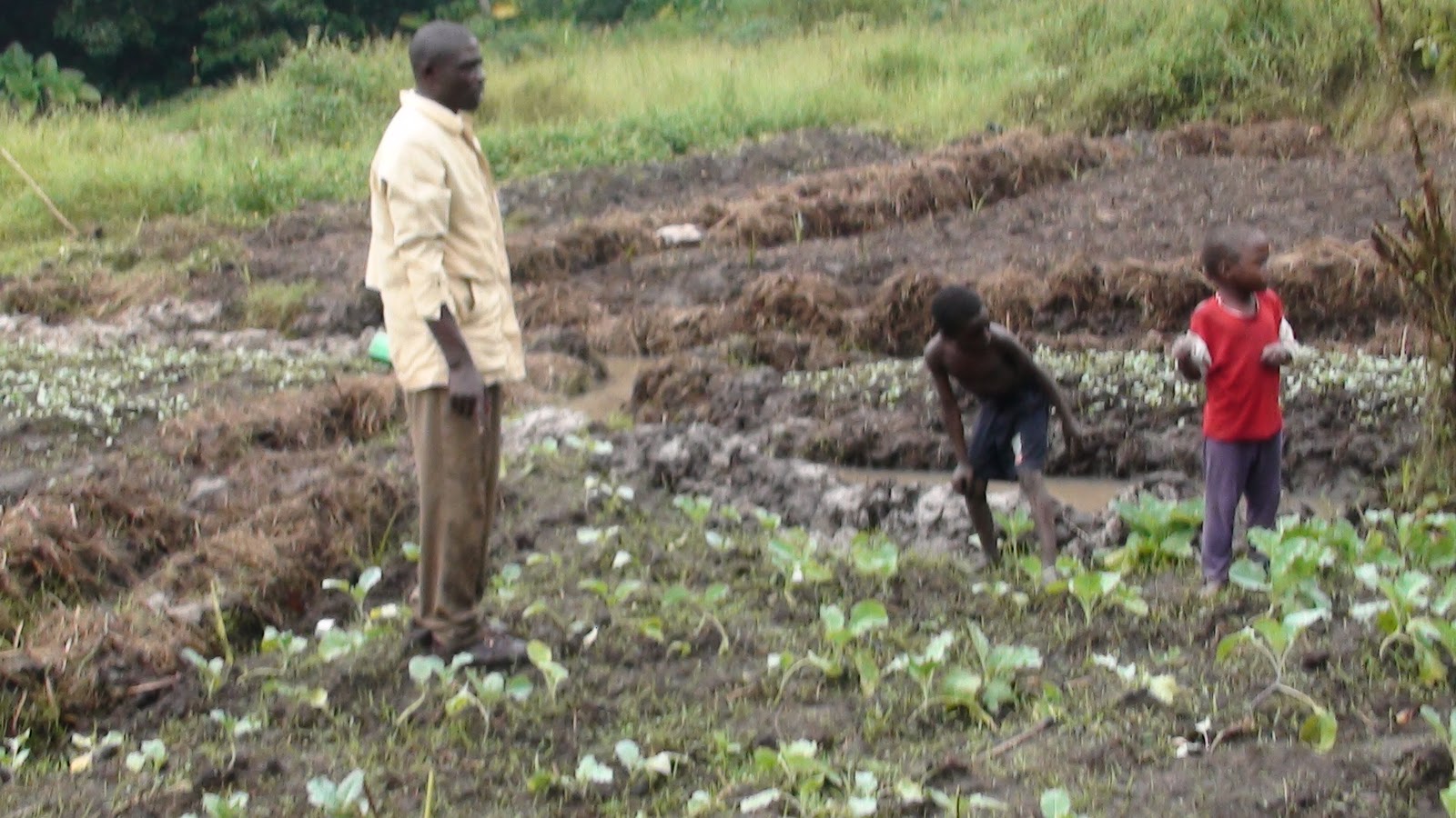 COMMUNITY VEGETABLE GARDENING IN UGANDA Photo Gallery