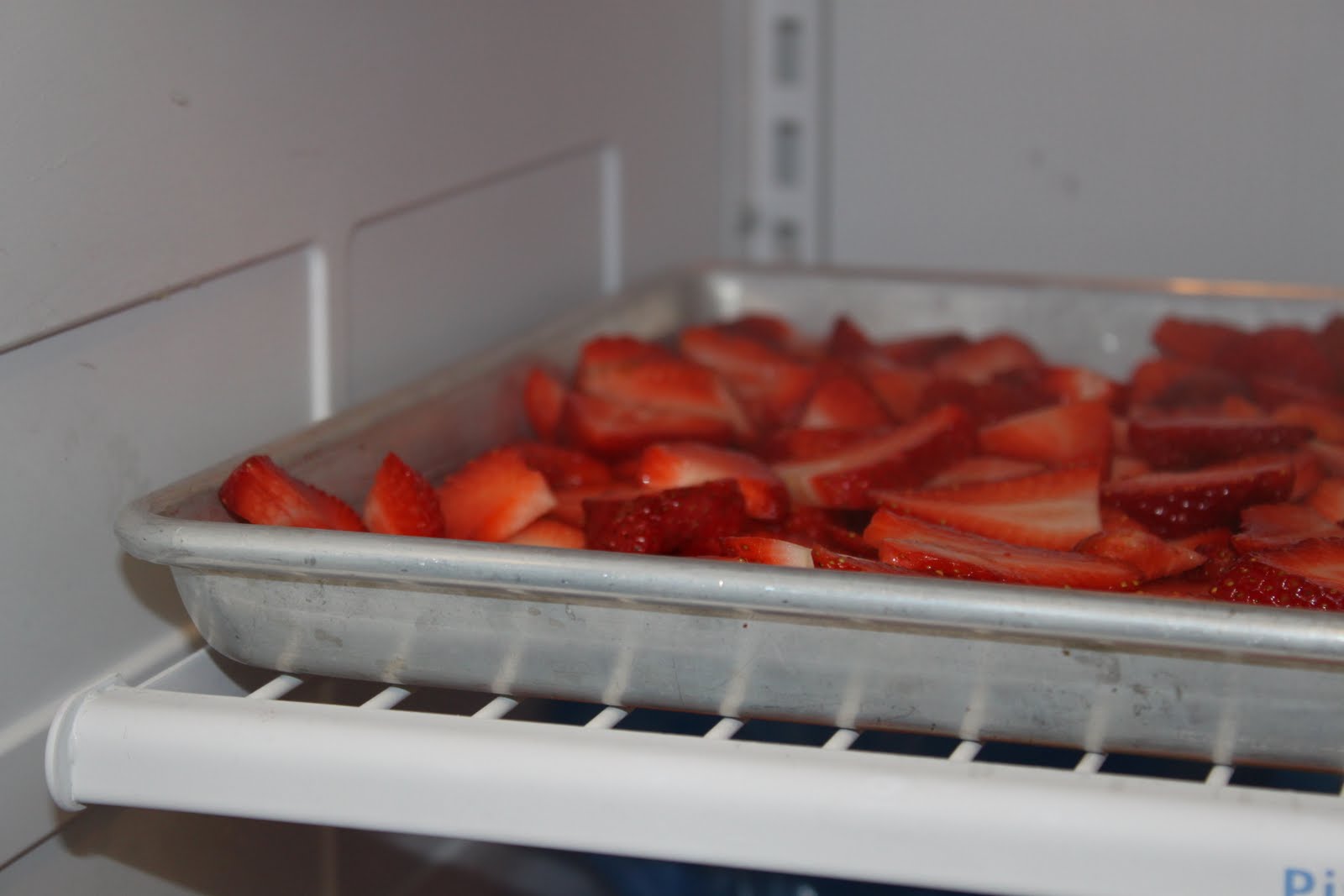 Home food storage Frozen fruit tutorial