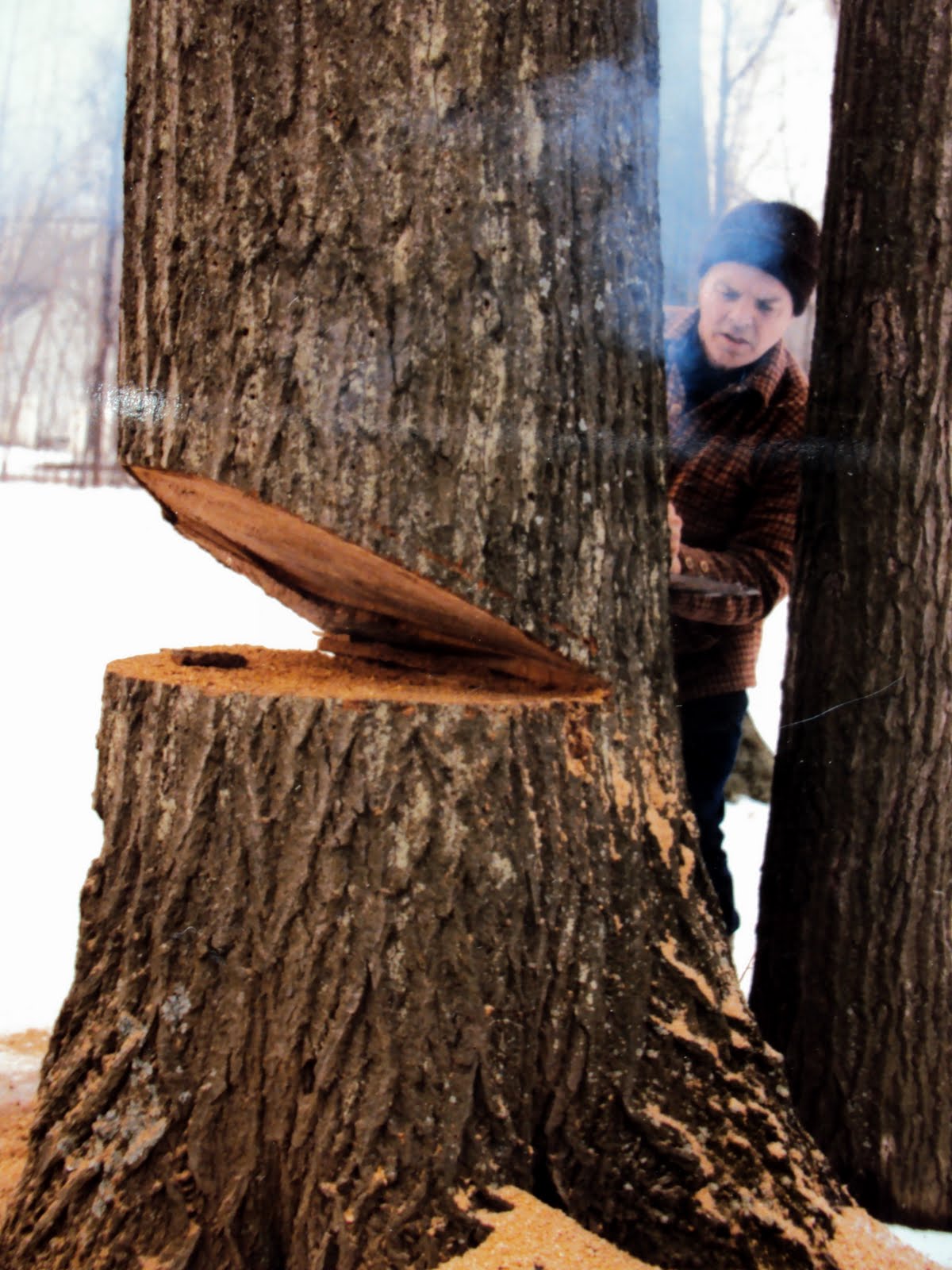 patterns of ink Epilogue F1 "The Meaning of 'Breadwinner'"