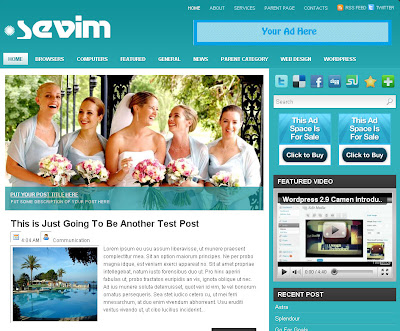 Sevim, professional Blogger Theme