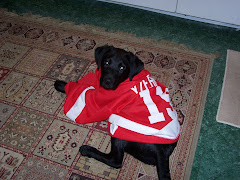 tucker is ready for some hockey