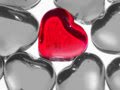 Verdadeiro Amor