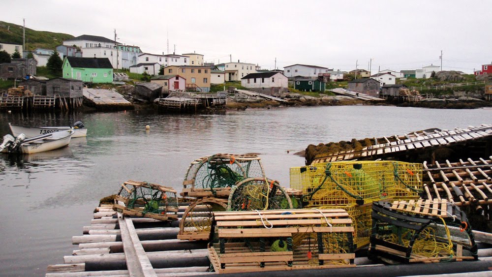My Newfoundland Kayak Experience Grand Bruit