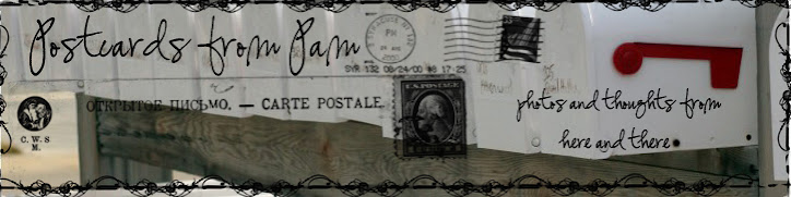 Postcards from Pam