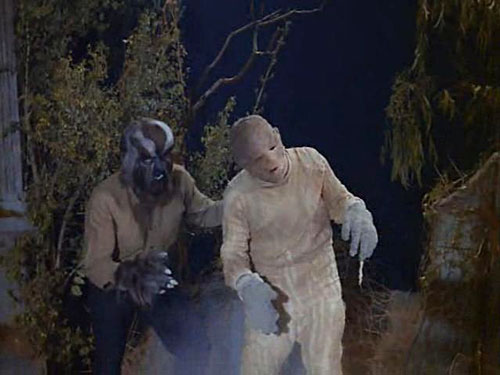 [ORGY+OF+THE+DEAD+12.jpg]