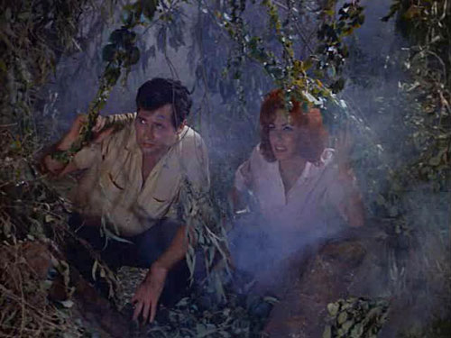 [ORGY+OF+THE+DEAD+03.jpg]