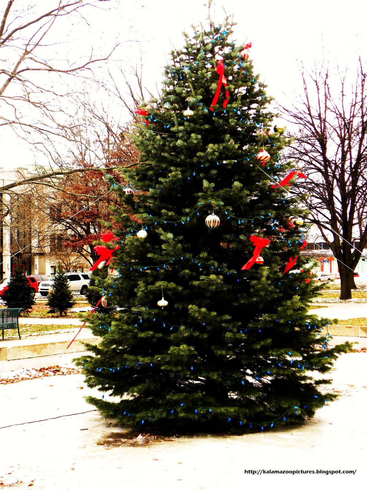 Kalamazoo In Pictures Downtown Kalamazoo, Bronson Park 1