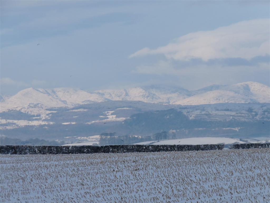 I Love Arnside and Silverdale Dalton (Burton In Kendal) Snow Photos