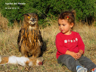 Bufo+Real+-+Crian%C3%A7a.jpg