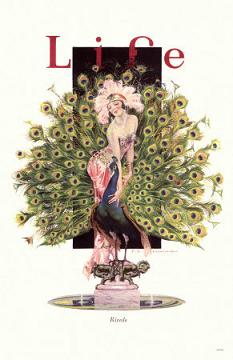 Lingerista Lifestyle: An Eve's Apples Column