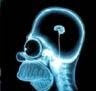 Cerebro MODELO de la sociedad actual