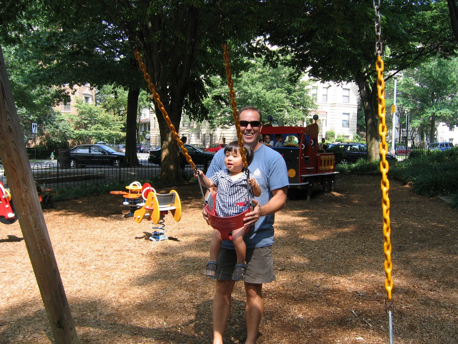Sagittarian Dreams Tyger At The Park 1