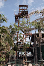 Two Daves' diving tower