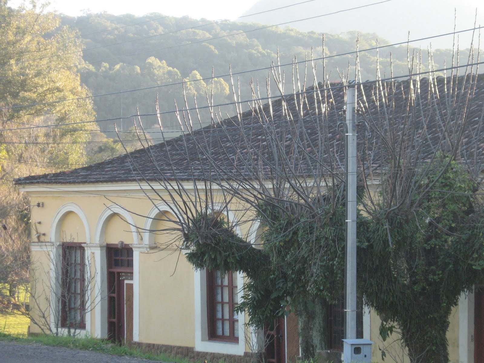 Lycengraulis Arroio Grande, Santa Maria RS