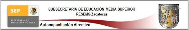 RESEMS - Zacatecas. Autocapacitación Directiva