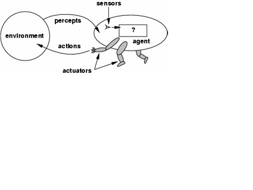 Audio agent. Кубейс 10 ручной тюнинг. Steinberg groove agent. Audio agent. Izotope neoverb.