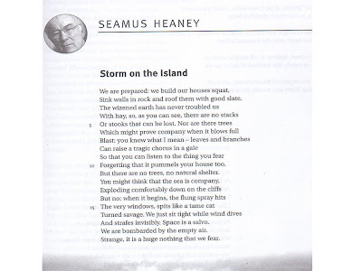 storm island seamus heaney poem themes observations mark
