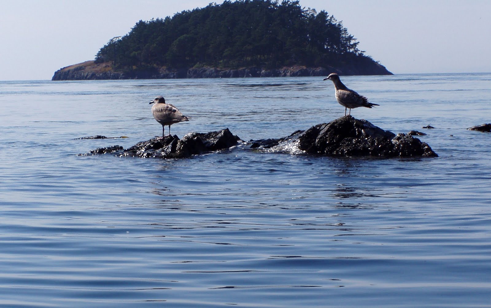 Pacific Northwest Seasons Bowman Bay and Deception Pass State Park