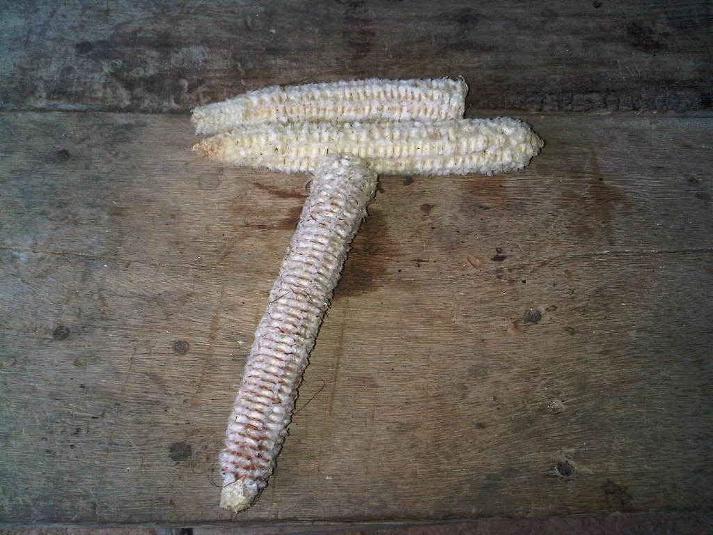 La tuza de maiz todavia se usa en la bucara